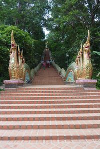 Chiang Mai wat suthep (6)
