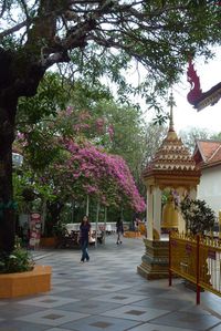 Chiang Mai wat suthep (9)