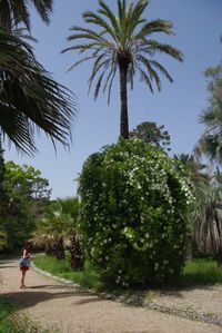 Vacances cannes mai 2013 012