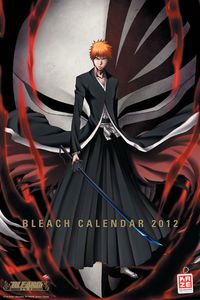 Bleach CALENDAR2012 COUV