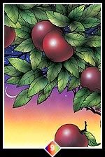 Tarot vais je rencontrer quelqu'un