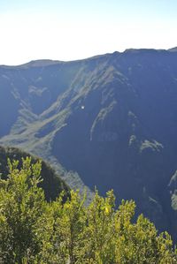 La-Reunion 2296