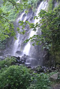 La-Reunion 2377
