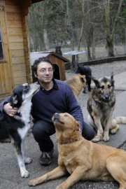 CHIENS-JP-HALIMI.png