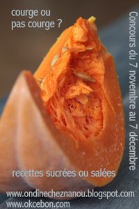 logo Concours Nanou