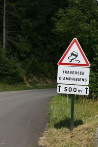IMG_5237.jpg