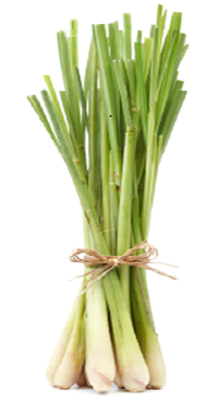 lemon-grass---brins-noues.png