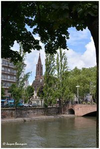 Strasbourg Cathedrale 16