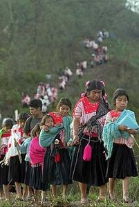 indigenas ap