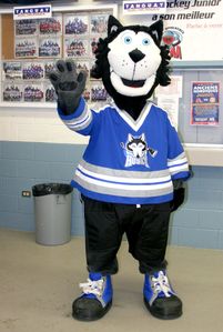 mascotte peewee berniere