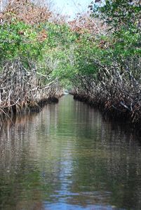 Floride-2010 0460