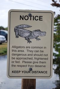 Floride-2010 0501