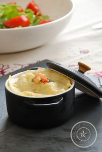 cocotte lasagnes épinards & thon