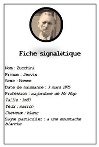 fiche