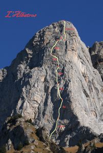 croix de fer albatros