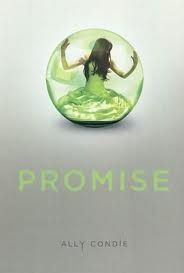 Promise.jpg