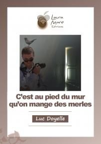 C-est-au-pied-du-mur-qu-on-mange-les-merles.jpg