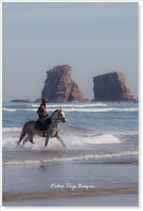 plage-hendaye-cheval.jpg