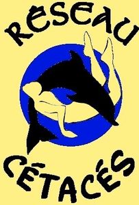 null societe-civile-reseau-cetaces-00-art.jpg