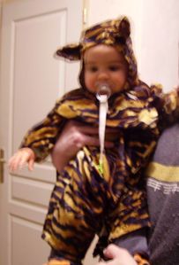 bebe-tigrou.jpg
