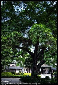 GZ-TEMPLE-BLOG-8-LQ