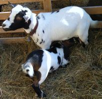 image023