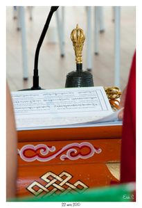20100321-DSC 6558