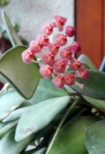 DSCN5451.JPG