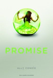 promise gallimard-206x300