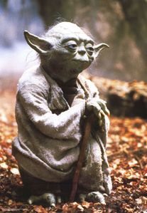 yoda
