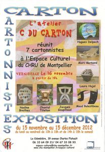 exposition-carton-montpellier-.jpg