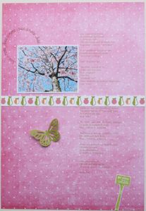 004-copie-2