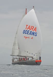 tara-oceans image