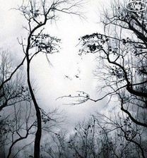 visage de femme dans un arbre