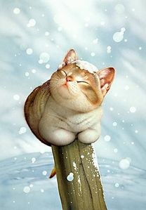 chat-neige.jpg