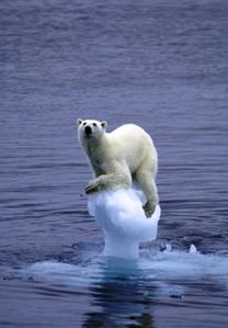 fonte-glaciers.jpg