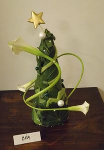 DSCF0548.JPG