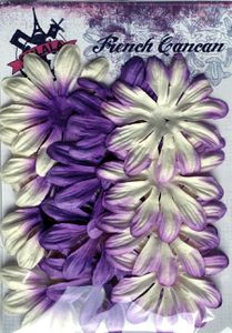 LPS14PU01 - Fleurs Longs Pétales Violet