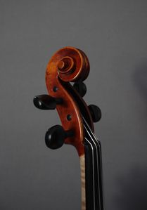 IMG 4983