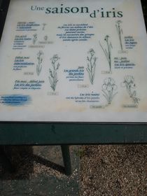 Bagatelle 1092