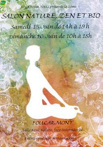 affiche 2013