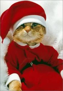 chat-noel
