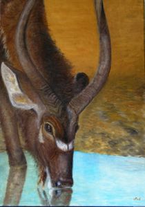 Antilope (huile 50 x 70 cm)