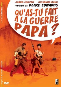 qu-as-tu-fait-a-la-guerre-papa-recto-jaquette
