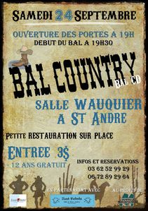 affiche-country-2011.jpg