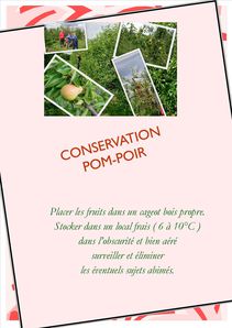 conservation pom-poir