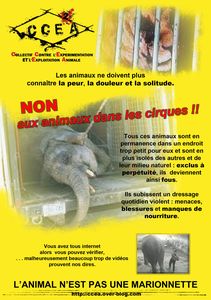 flyer-cirque-cce-a.jpg