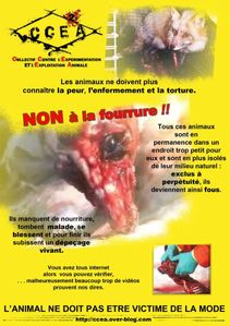Tract fourrure ccea