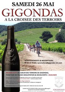 gigondas_croiseeterroirs.jpg