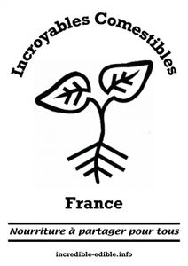 incroyable.jpg